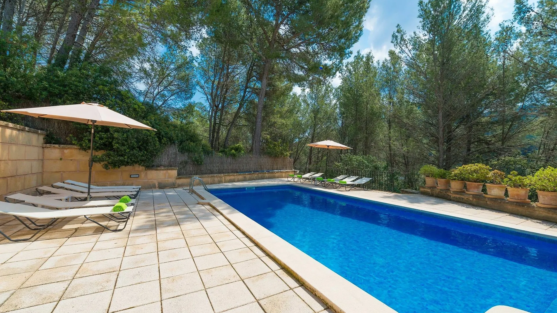 Can Pere Vell Andratx Villa